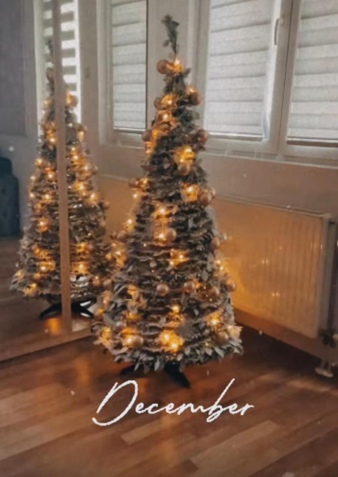 Leyla Lux Lägenhet Belgrad